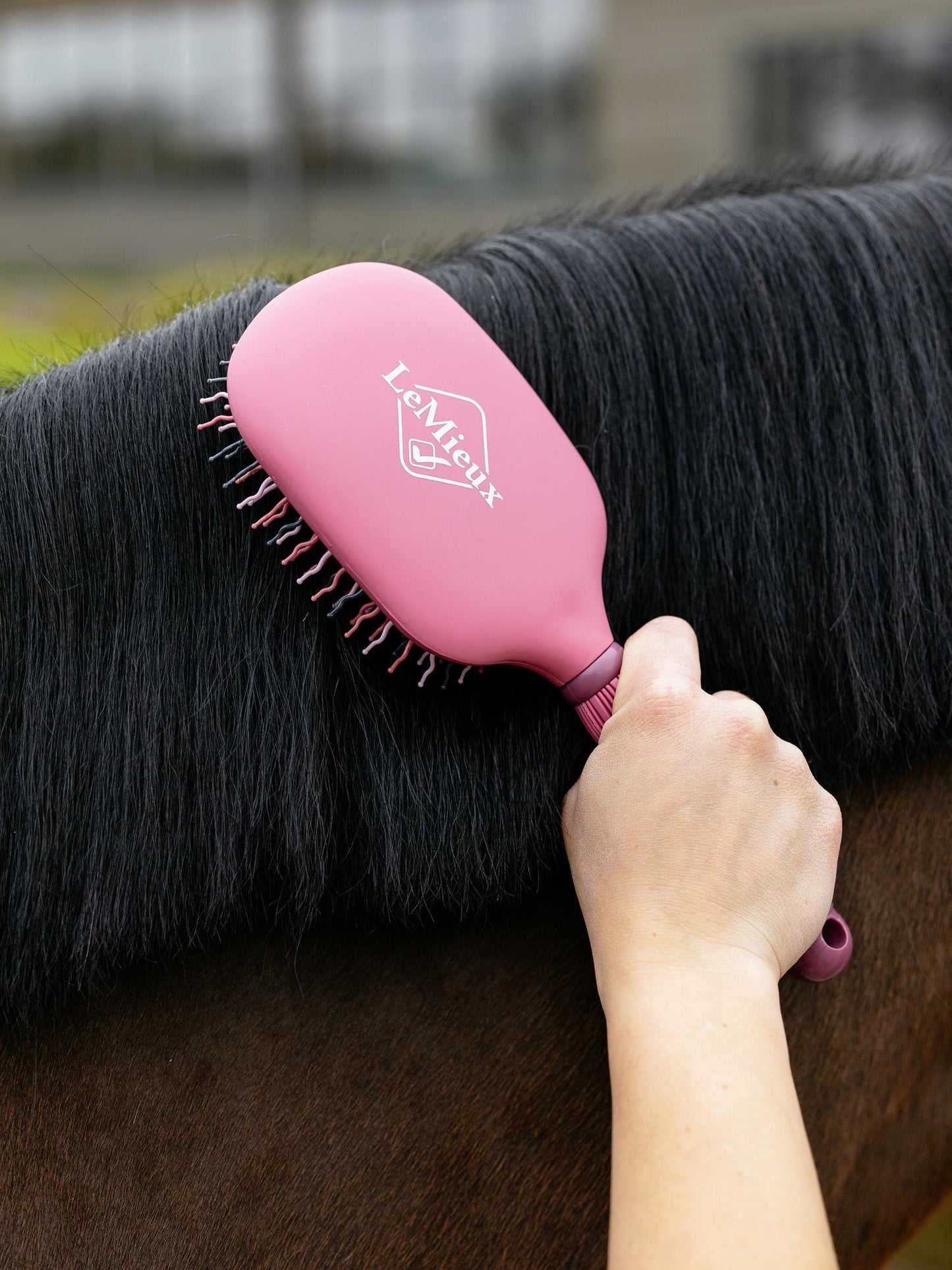 Tangle Tidy Borstel