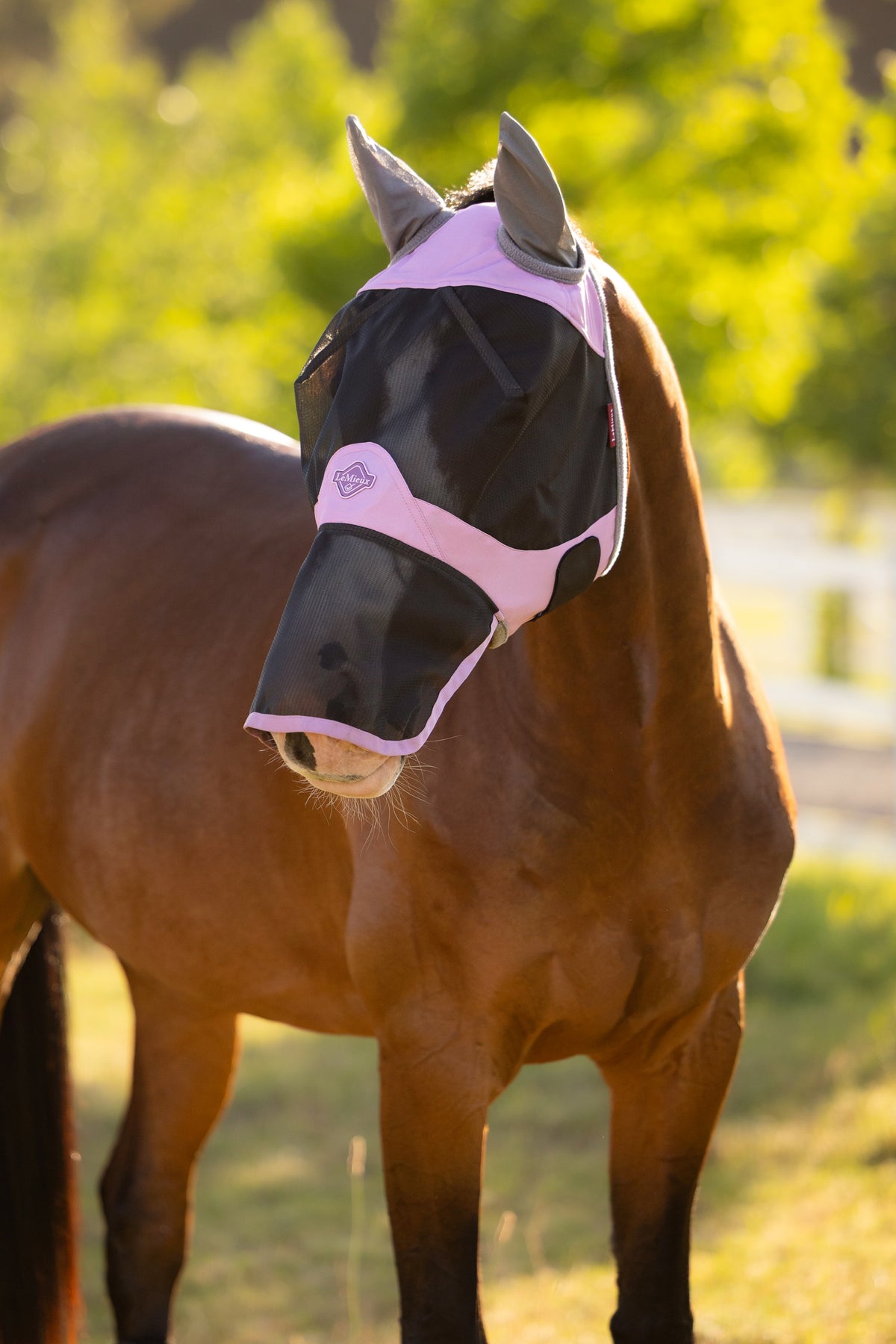 LeMieux Visor-Tek volledig vliegenmasker 'SS26
