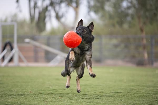 Jolly Soccer Ball 15cm - Nena's Pets