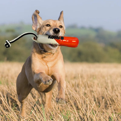 KONG Wild Shieldz Training Dummy - Nena's Pets