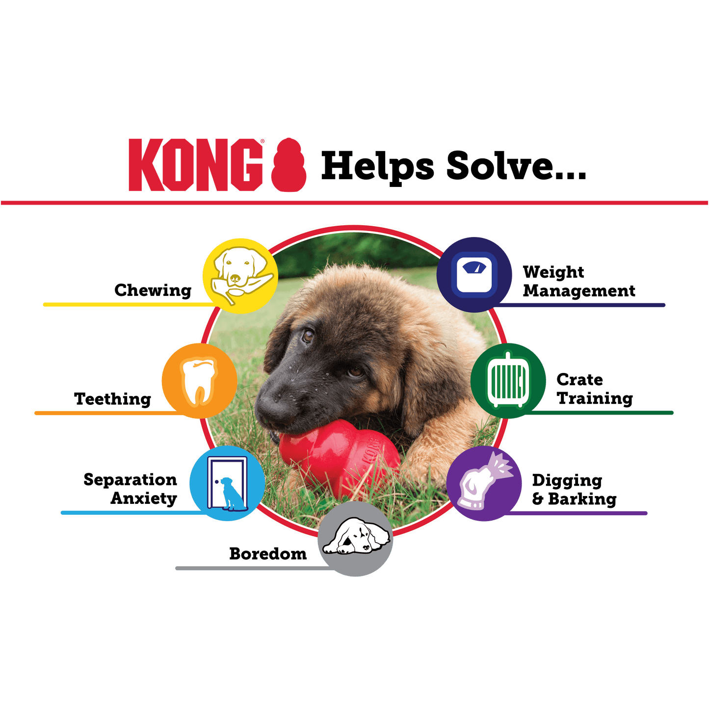 Kong Puppy - Nena's Pets