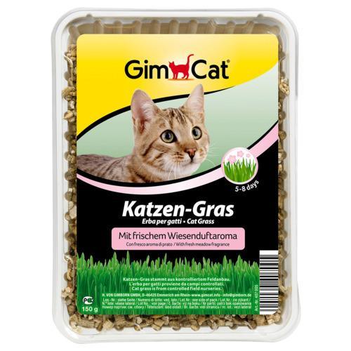Kattengras 150 g Natuur - Nena's Pets