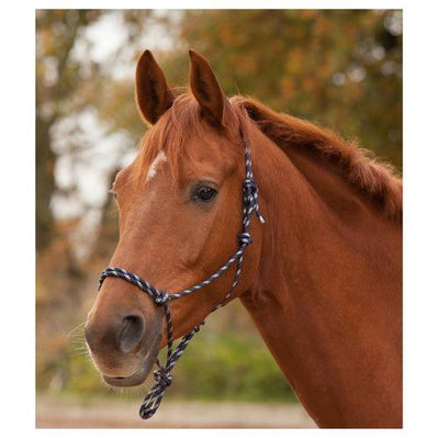 Waldhausen knoophalster - Nena's Pets