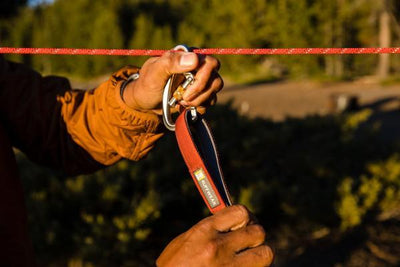 Knot a Hitch - Nena's Pets