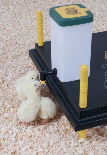 Kuikendrinkbak met nippel 1 l Geel|Groen - Nena's Pets
