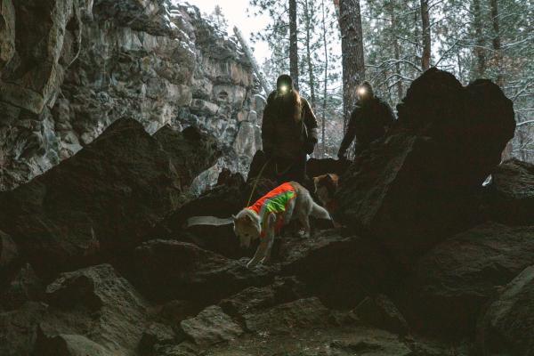Lumenglow High-Vis jacket - Nena's Pets