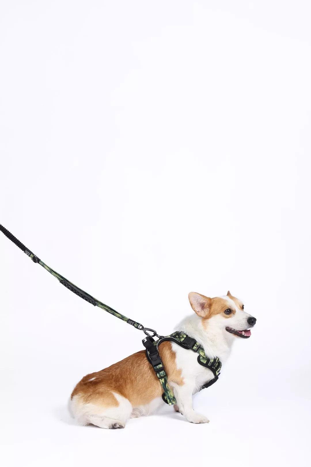 M-Pets Hiking Harness met nek gesp - Nena's Pets