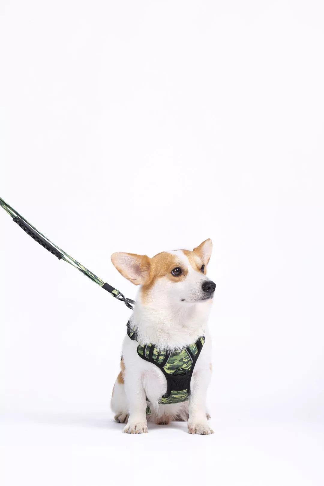 M-Pets Hiking Harness met nek gesp - Nena's Pets