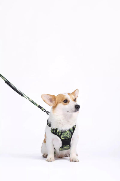 M-Pets Hiking Harness met nek gesp - Nena's Pets