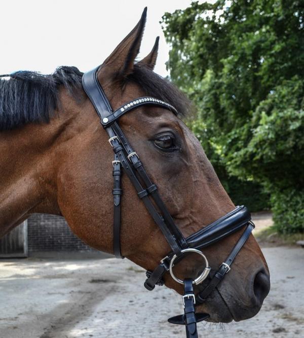 Montar hoofdstel Fair - Nena's Pets