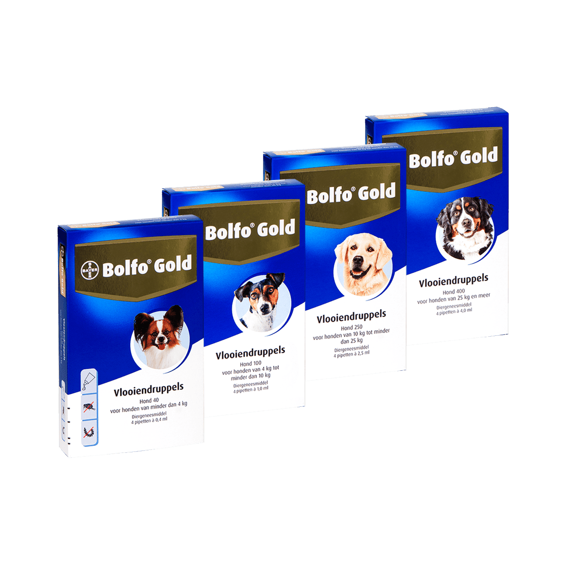 Bolfo Gold hond - Nena's Pets
