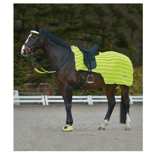 Waldhausen neon uitrij deken - Nena's Pets