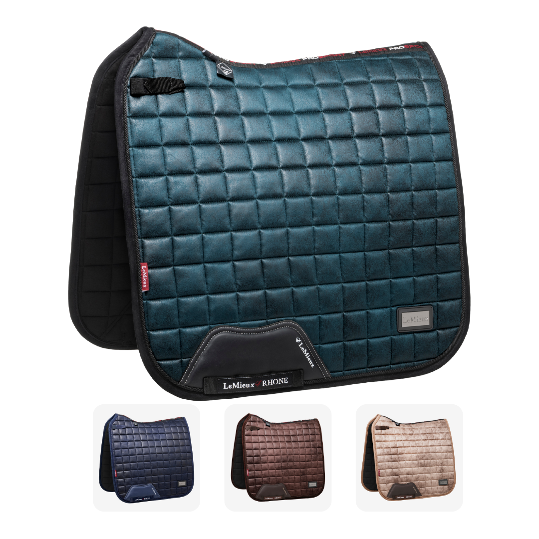 Lemieux rhone dressage square