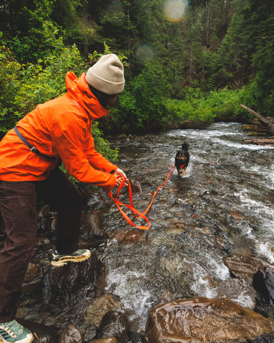 Ruffwear Rogue Long Line