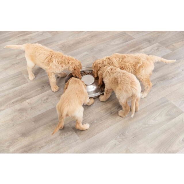 Trixie Junior puppy voerbak