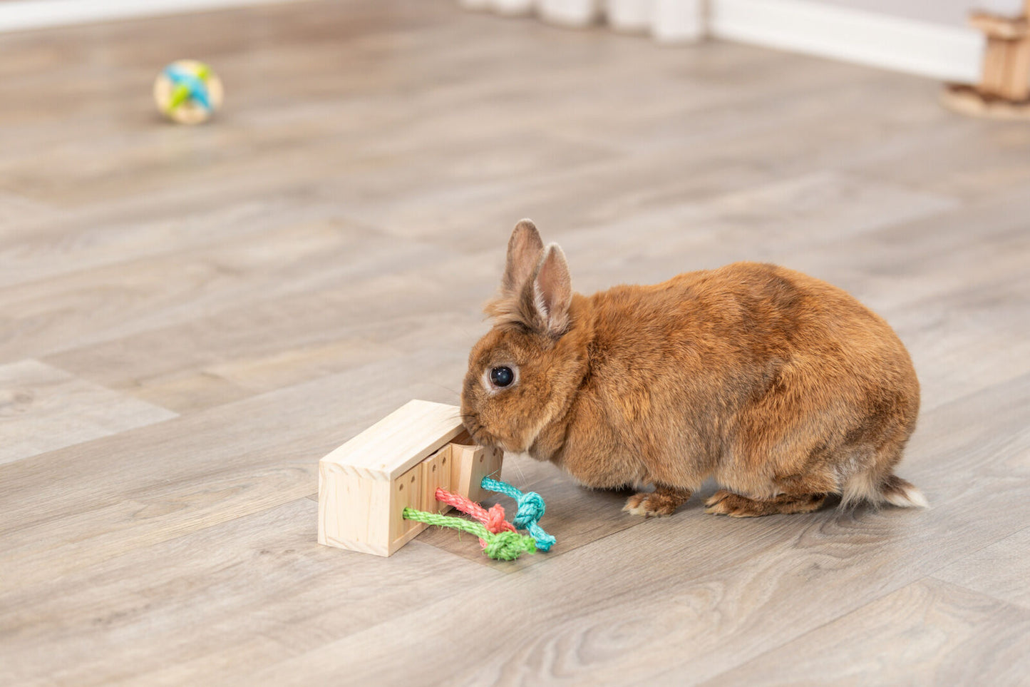 Trixie snack cube puzzel