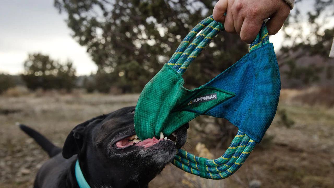 Ruffwear Pacific Ring - Nena's Pets
