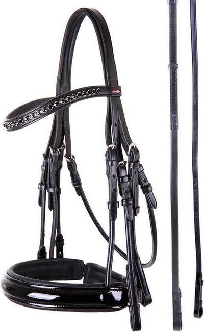 Premiere stang&trens Paris - Nena's Pets