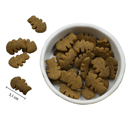 Riverwood Crunchy trainers - Nena's Pets