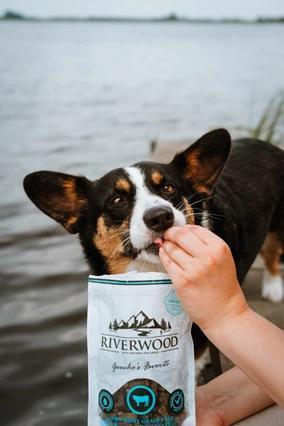 Riverwood Zachte trainers - Nena's Pets