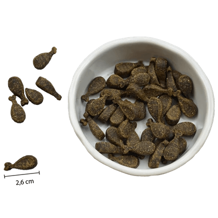 Riverwood Zachte trainers - Nena's Pets