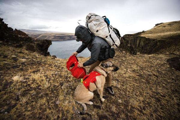 Ruffwear Palisades Dog Backpack - Nena's Pets