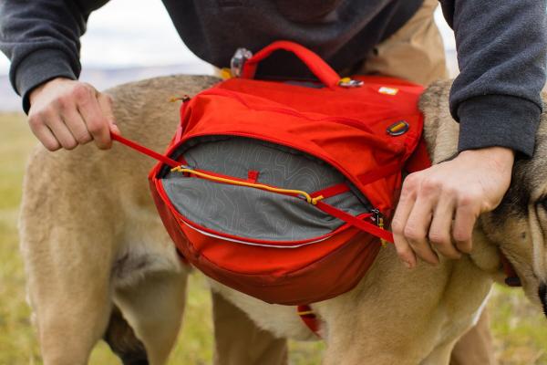 Ruffwear Palisades Dog Backpack - Nena's Pets