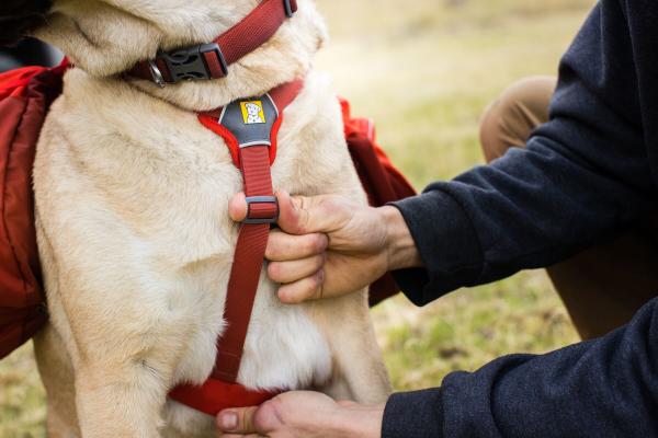 Ruffwear Palisades Dog Backpack - Nena's Pets