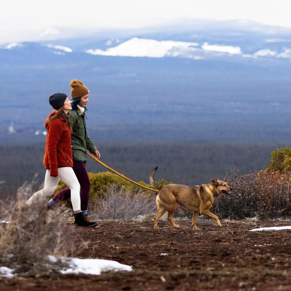 Ruffwear Roamer Bungee Dog Leash - Nena's Pets