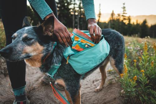 Ruffwear front range day pack - Nena's Pets