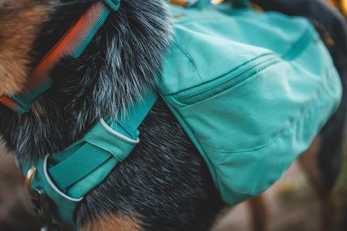 Ruffwear front range day pack - Nena's Pets