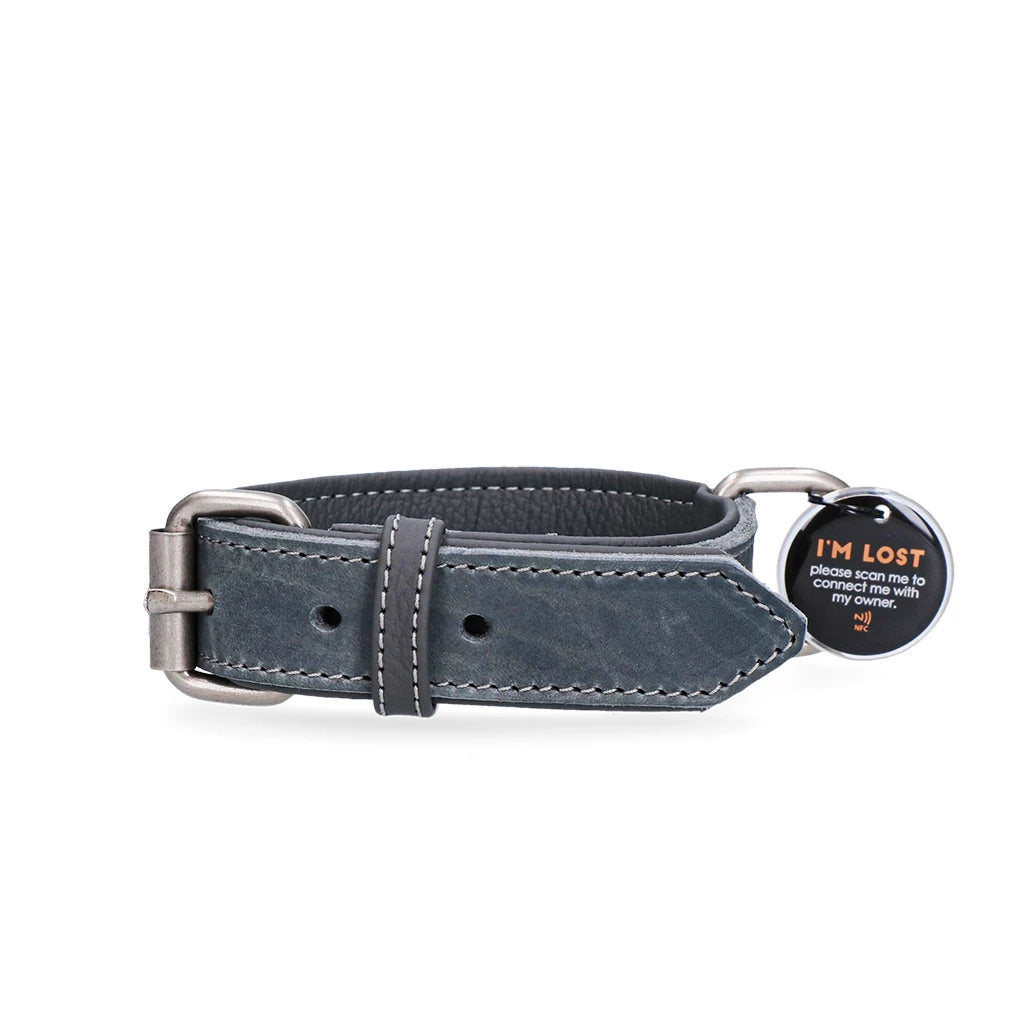 Spotted! Pro Leren Halsband met Tag