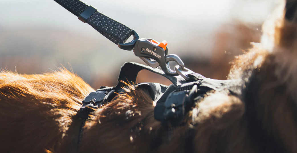 Ruffwear Ridgeline riem