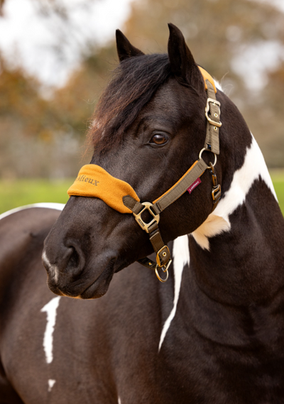 Lemieux Vogue headcoller - Nena's Pets