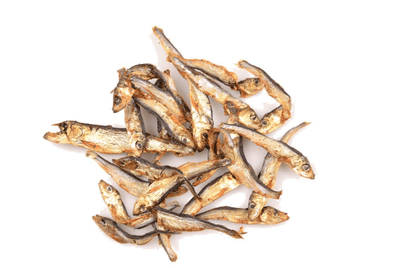 Carnis Spiering - Nena's Pets