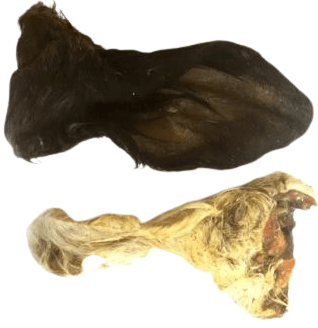 Carnis Buffeloren - Nena's Pets