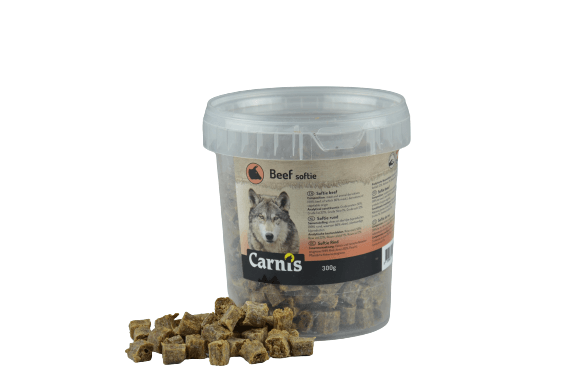 Carnis trainers Softie - Nena's Pets