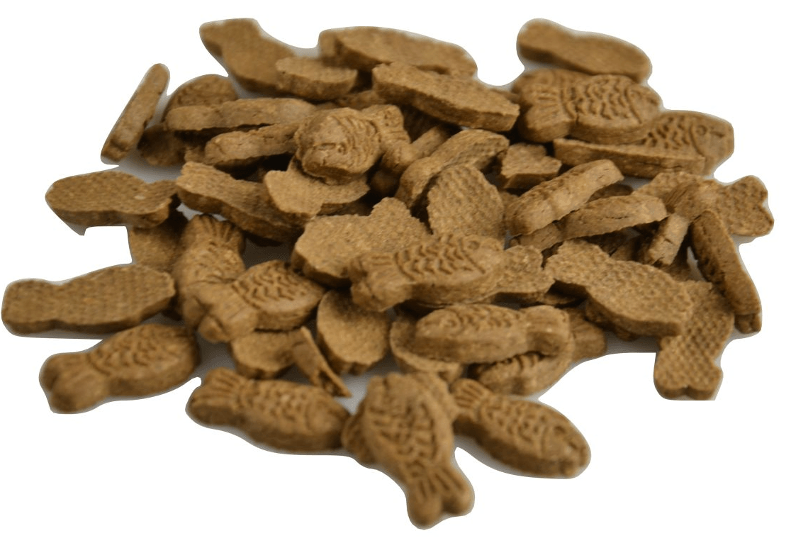 Carnis trainers Vissoorten - Nena's Pets