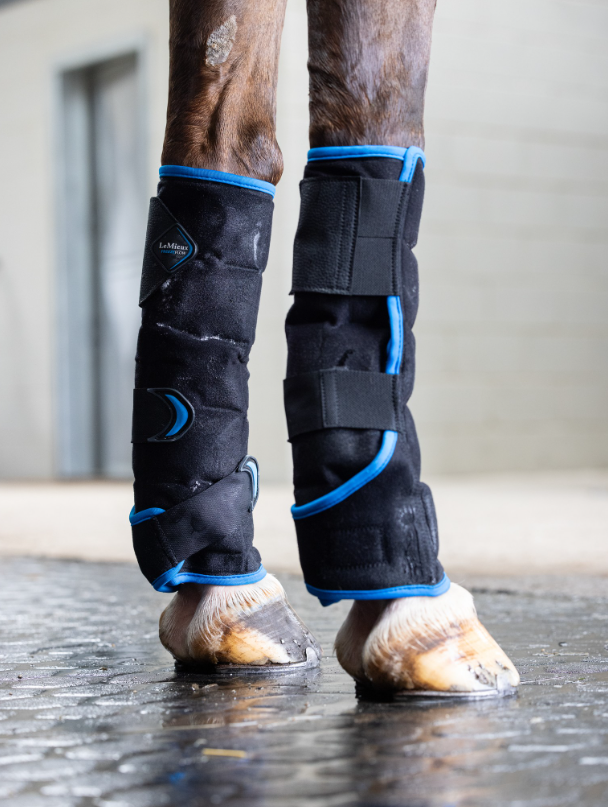 LeMieux Freeze Flow Ice Boot - Nena's Pets