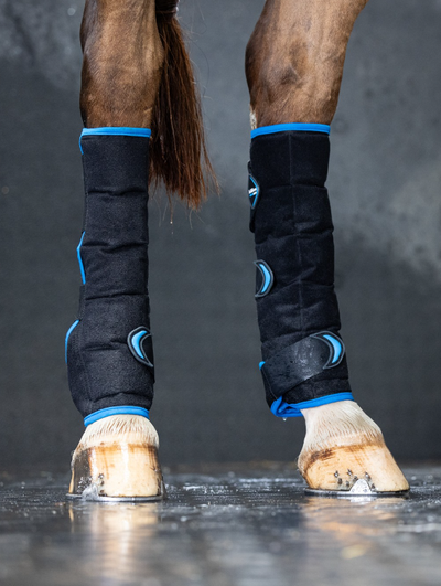 LeMieux Freeze Flow Ice Boot - Nena's Pets