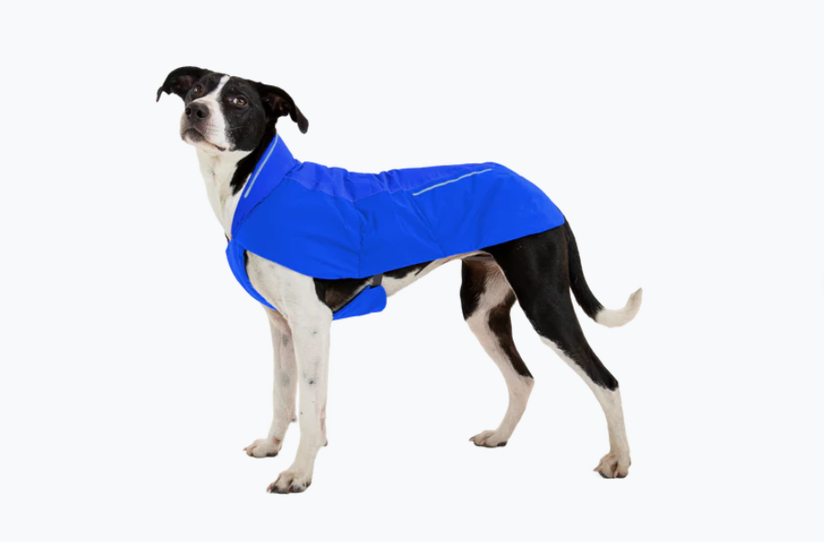 Vert dog jacket - Nena's Pets