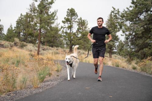 Switchbak Multifunctionele lijn - Nena's Pets