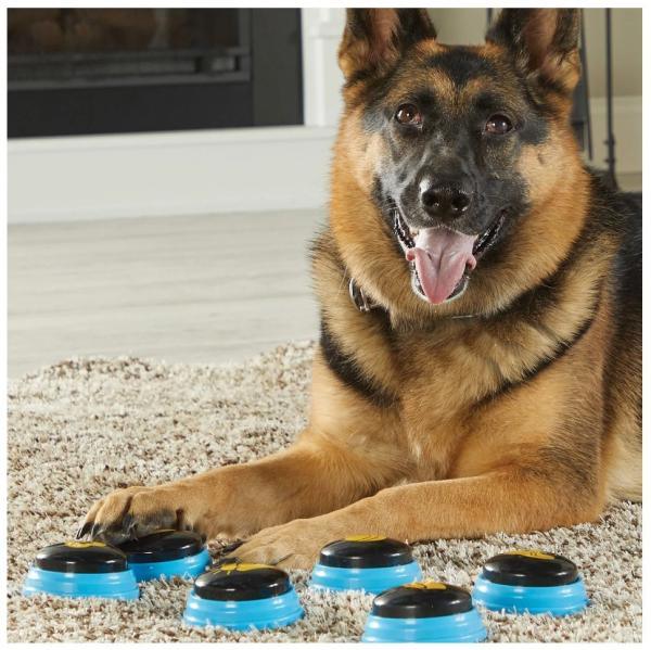 Talking Pet Belangrijke Woorden - Nena's Pets