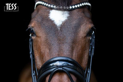 Hoofdstel van Tess slim - Nena's Pets