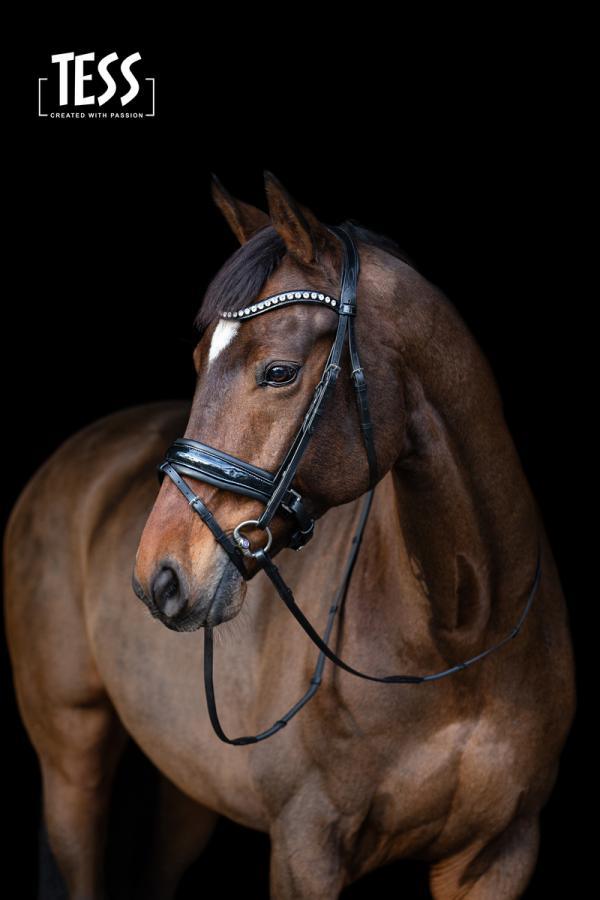 Hoofdstel van Tess slim - Nena's Pets