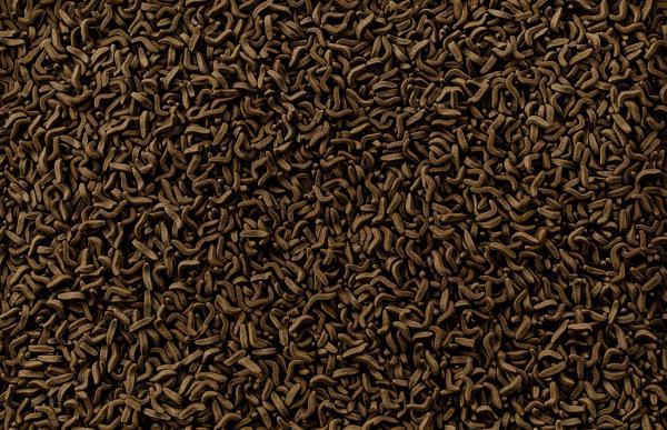 Tetra FaunaFauna reptomin sticks 1 l - Nena's Pets