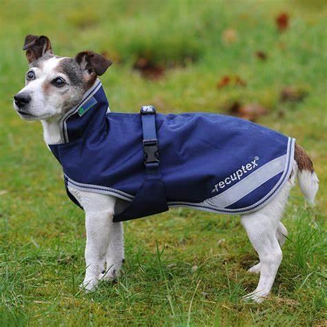 Bucas Therapy dog rug 300 gram gevoerd OP=OP - Nena's Pets