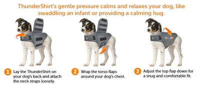 Thundershirt for Dogs - Nena's Pets