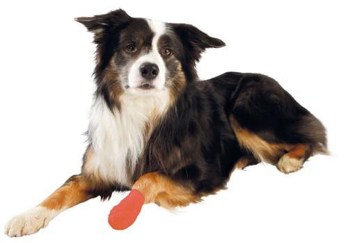 Trixie zelfklevende bandage 4stuks bittersmaak - Nena's Pets