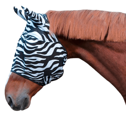 Darwin Vliegenmasker zebra - Nena's Pets